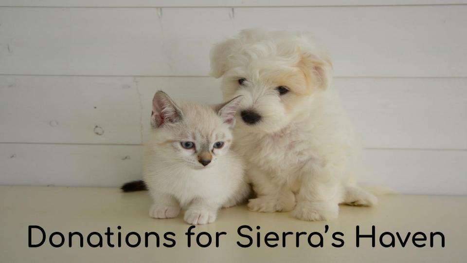 VHS Donation Drive for Sierra's Haven